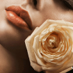 Beauty is in simplicity